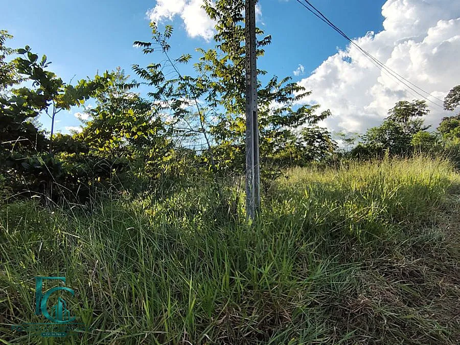 Imagem Chácara à venda em Guapó, Zona Rural, 3.000m²