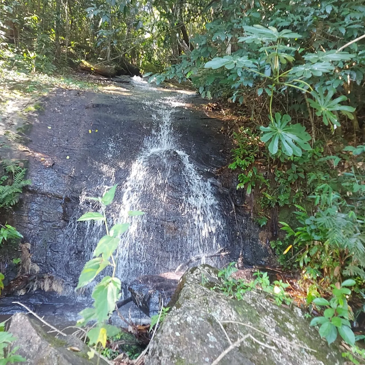 Imagem Chácara à venda 20000M², Mandú, Pindamonhangaba - SP