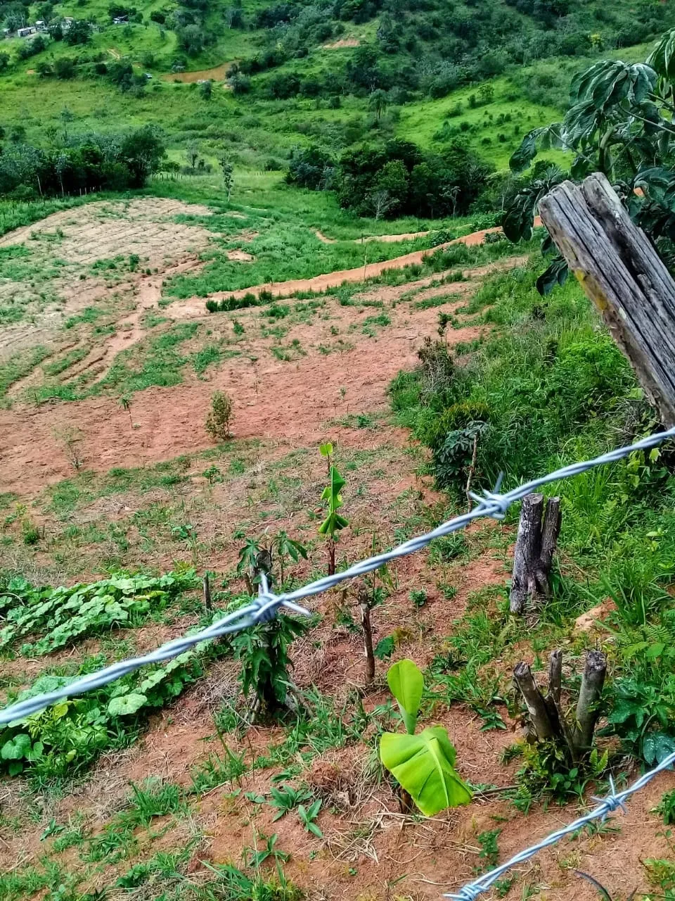 Imagem Chácara à venda 20000M², Mandú, Pindamonhangaba - SP
