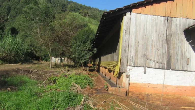 Imagem Área Agrícola para Venda em Lindóia do Sul, Linha Mimosa