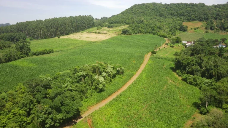Imagem Área Agrícola para Venda em Concórdia, Rural