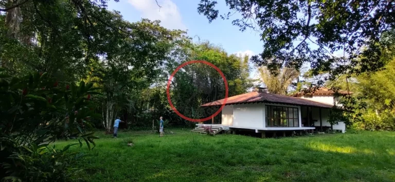Imagem CASA AMPLA AREJADA E BEM ILUMINADA ,INSERIDA NA MATA ATLANTICA COM 2 PAVIMENTOS TERRENO DE 2000MT A 10 MINUTOS DE CAMBURY/BALEIA