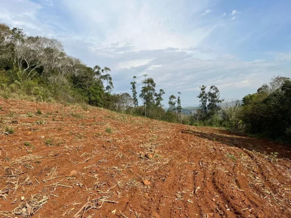Imagem Terreno para Venda em Concórdia, Rural