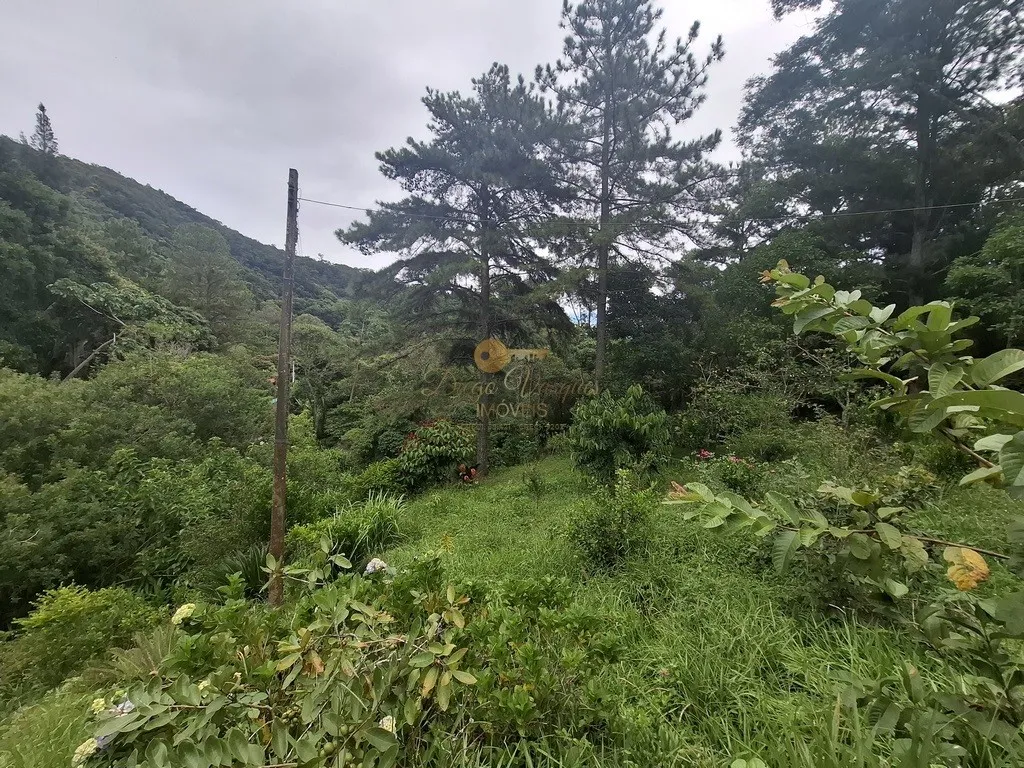 Imagem Terreno para Venda em Teresópolis / RJ no bairro Córrego das Pedras