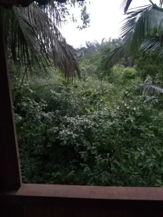 Imagem Chácara para Venda em Morretes, Estrada do Anhaia