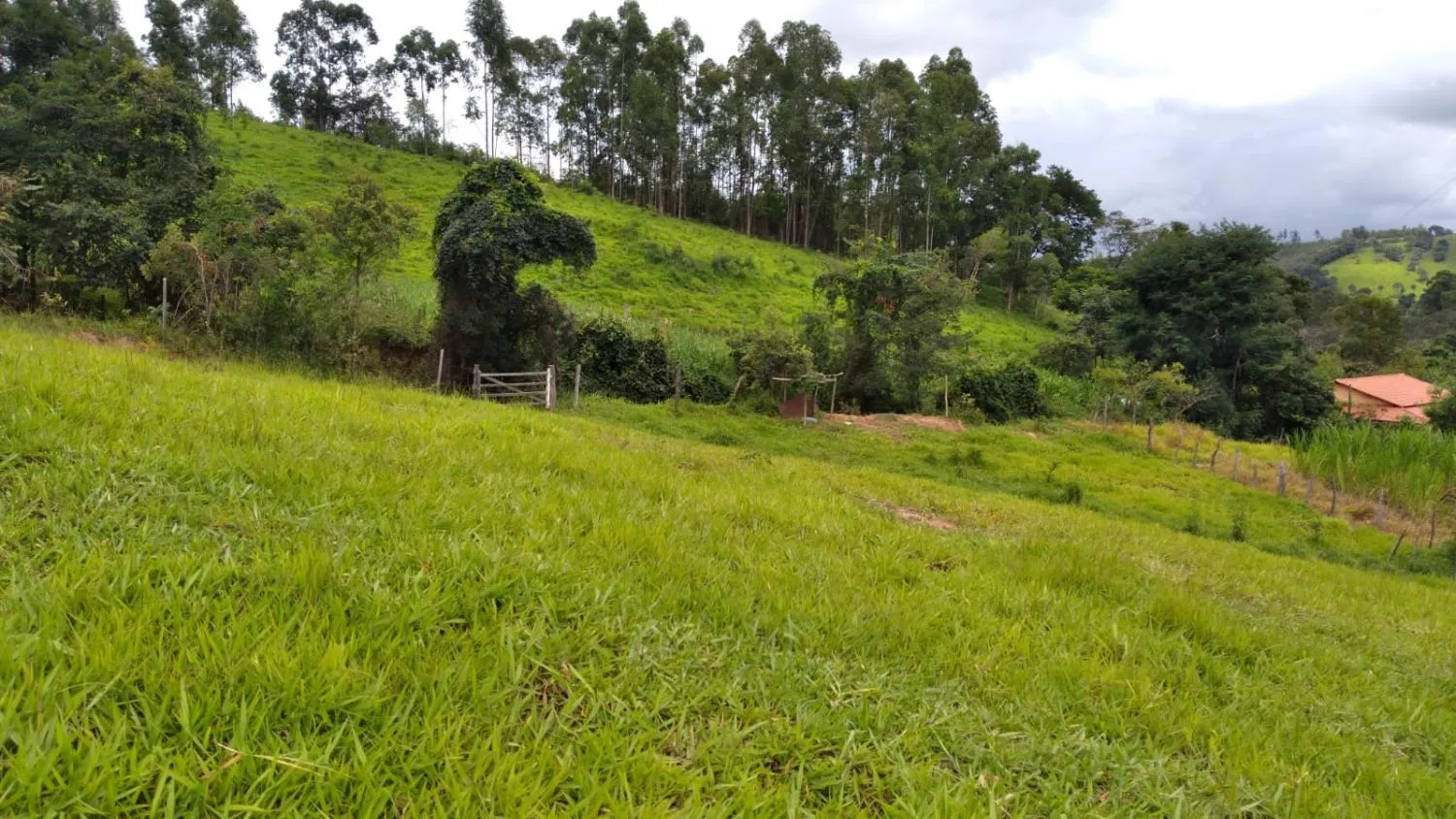 Imagem Vendo um ótimo sítio em Itaguara/Mg com 78.000 m² de terra,