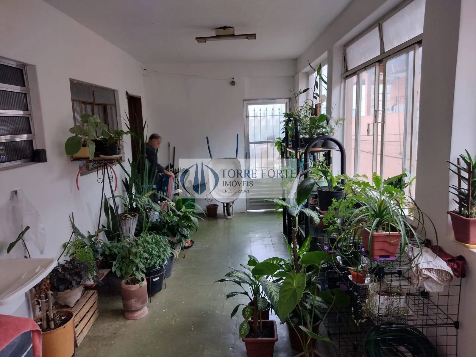 Imagem 4 casas e um salão comercial no Jardim Colorado