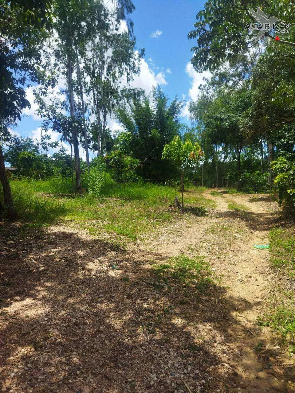 Mini Fazenda em Curvelo