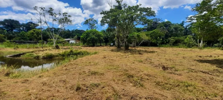 Imagem Chácara para Venda em Itanhaém, Gaivota (Interior), 2 dormitórios, 1 banheiro, 15 vagas