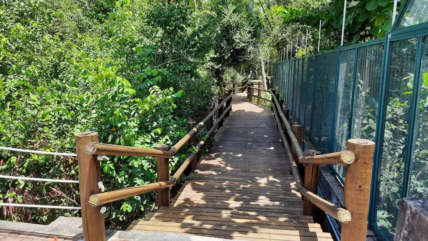 Imagem Terreno para Venda em Maceió, Jacarecica