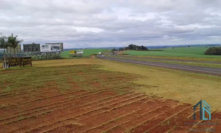 Foto do imóvel Terreno 92mil m², entre a Cidade de Rolândia e Arapongas, Rodovia 986 km 8 contorno sul de Rolândia PR
