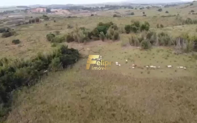 Imagem EXCELENTE FAZENDA A VENDA PORTEIRA FECHADA EM ARARUAMA/RJ.