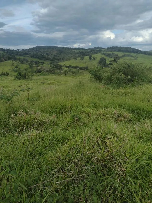 Imagem Excelente fazenda com 194 hectares de terra de cultura disponível para venda
