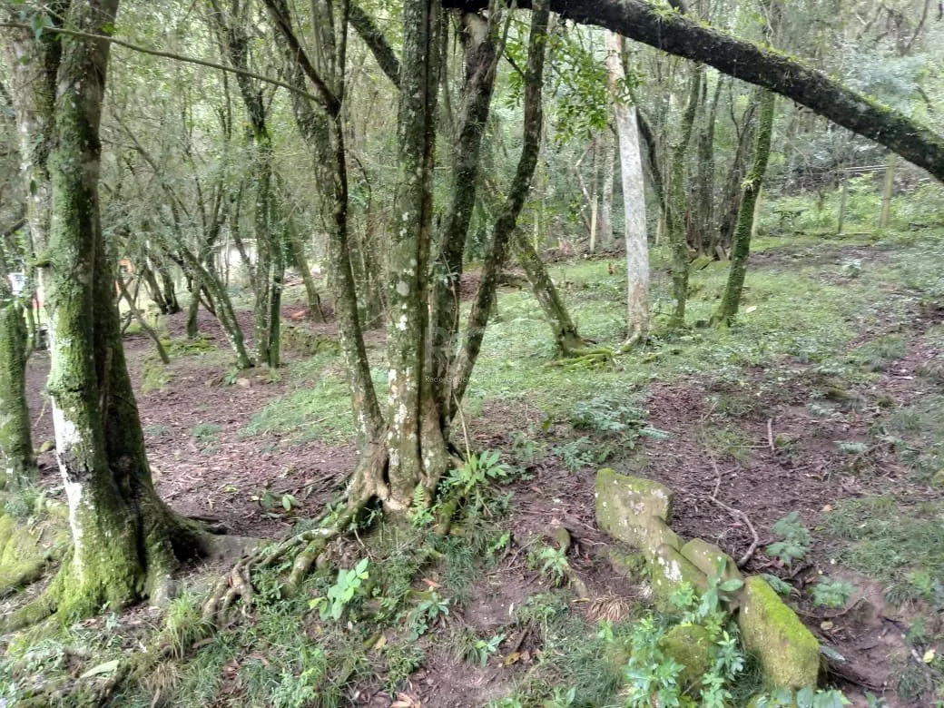 Imagem Sítio para Venda - 13725m², 2 dormitórios, sendo 2 suites, 4 vagas - Ponta Grossa