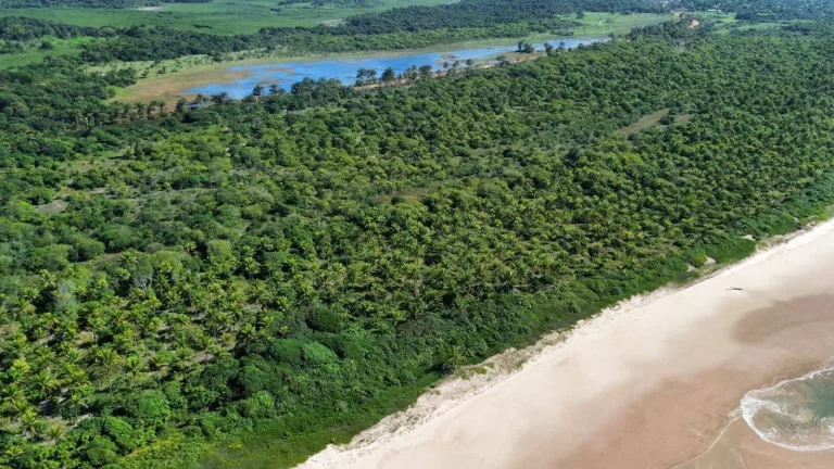 Imagem ÁREA FRENTE MAR (400m) - ALGODÕES