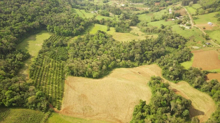 Imagem Área Agrícola para Venda em Concórdia, Rural