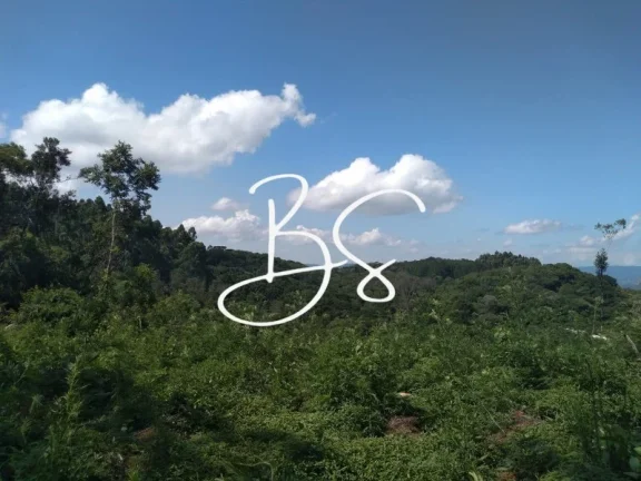 Imagem SITIO RURAL em IGREJINHA - RS, Serra Grande