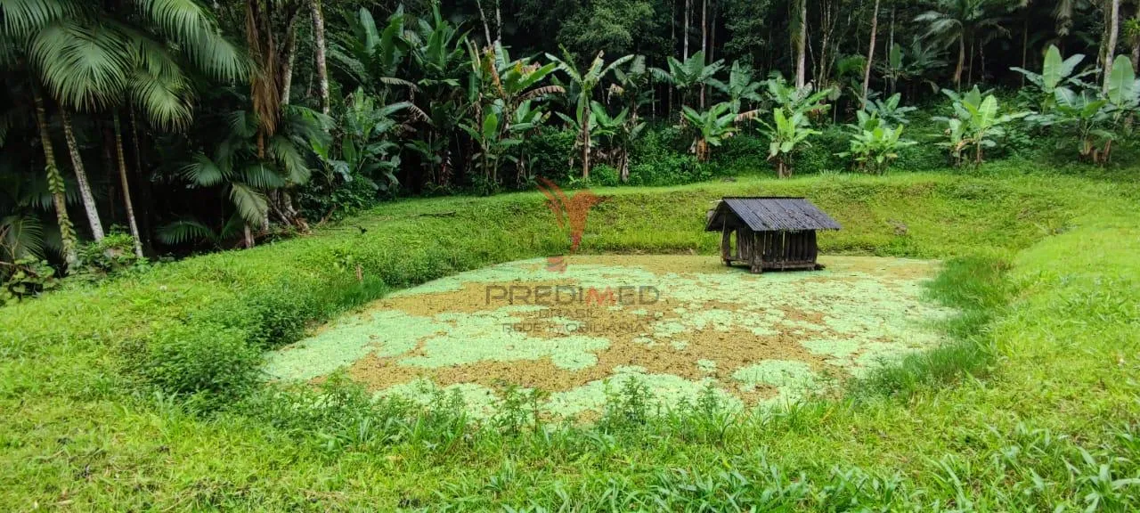 Imagem SITIO EM BLUMENAU, DOCUMENTAÇÃO TUDO OK ESTRUTURA DA CASA COM 8 CAMINHOES DE CONCRETO