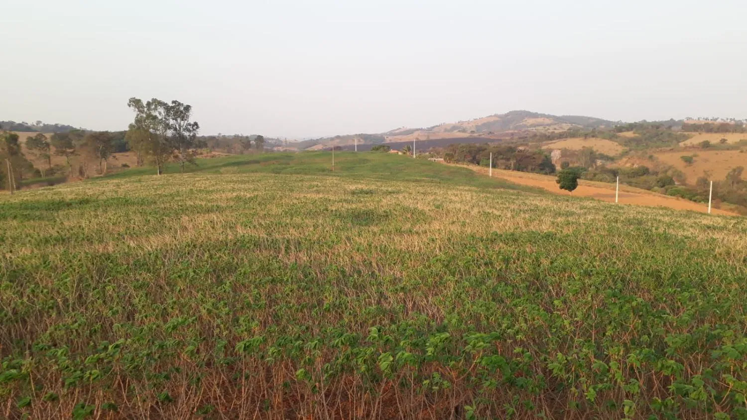 Imagem CHÁCARAS À VENDA EM CRUCILÂNDIA - MG com 10.000 m², toda plana