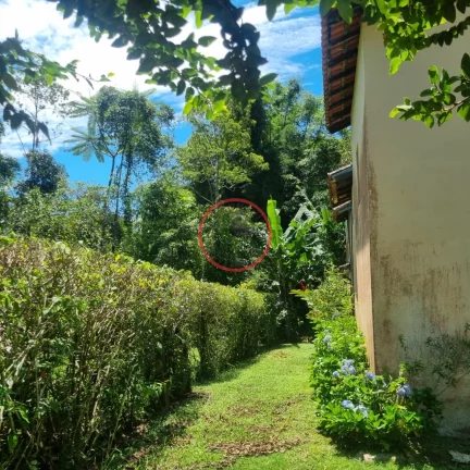 Imagem 2 pequenas Casas na maquinino Bairro MAQUININHA, em um terreno de 700 metros limpo em rua asfaltada , junto a natureza