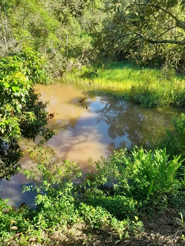 Imagem Vendo excelente sítio em Bonfim/MG ,com 9 hectares de área total (90.000 m²),