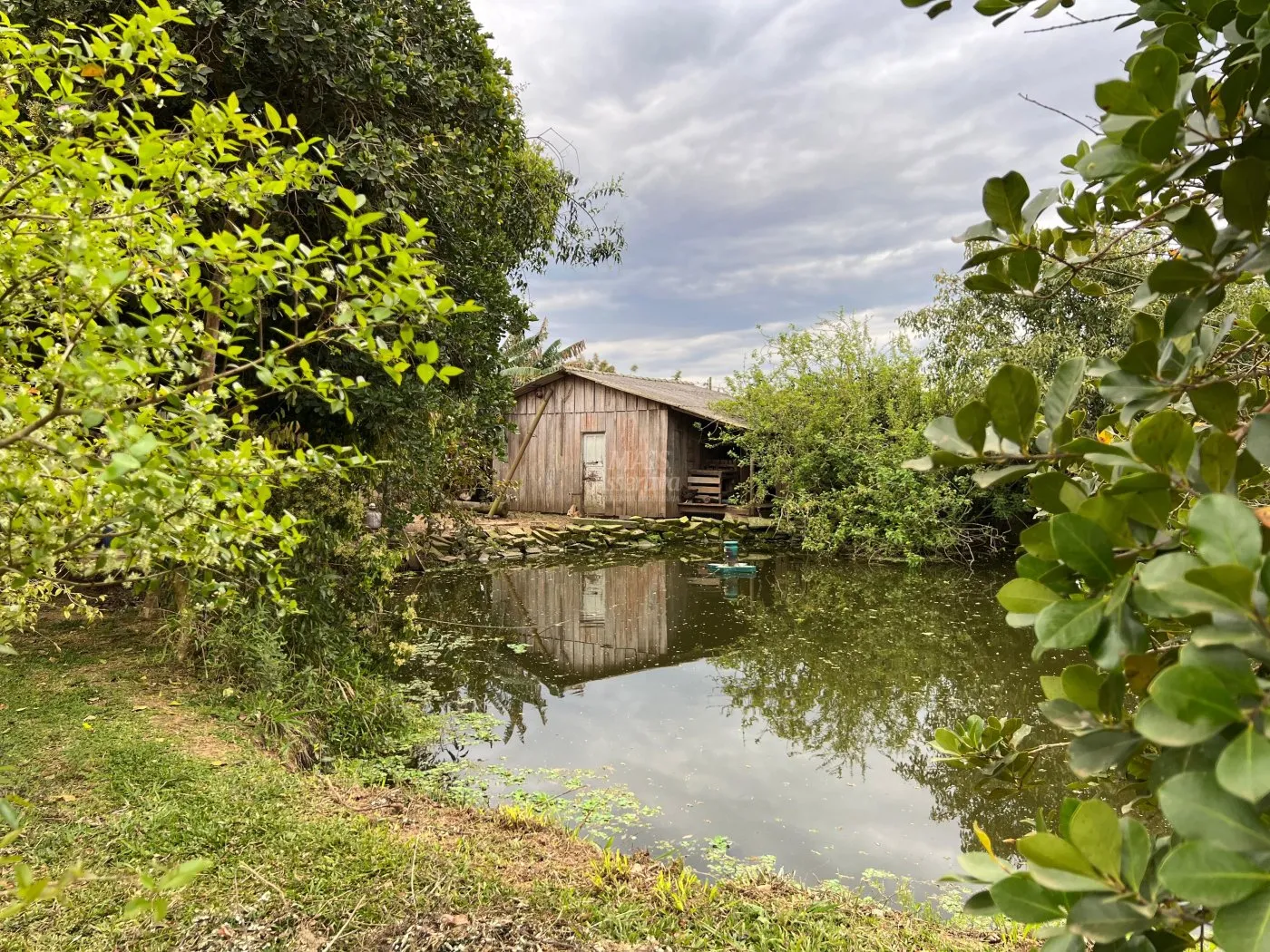 Imagem Excelente Chácara à venda em Lomba Grande - Novo Hamburgo/RS