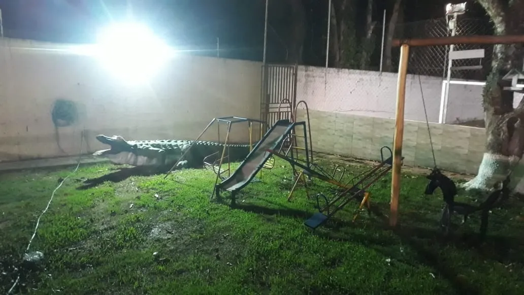 Imagem Chácara à venda 1 Quarto, 2 Suites, 6 Vagas, 1350M², João Daniel, Guaratinguetá - SP