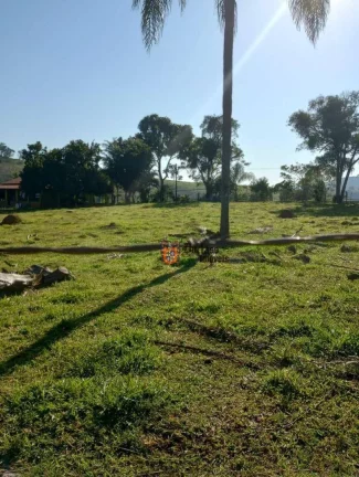 Imagem Chácara com 3 dormitórios à venda, 5000 m² por R$ 490.000 - Cambuí - Cambuí/MG