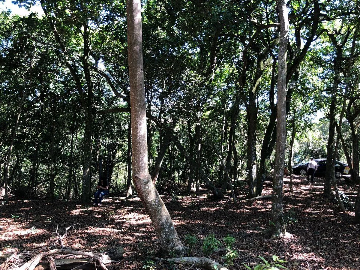 Imagem Chácara para venda , localizado em São João do Deserto, Lomba Grande em Novo Hamburgo/RS.