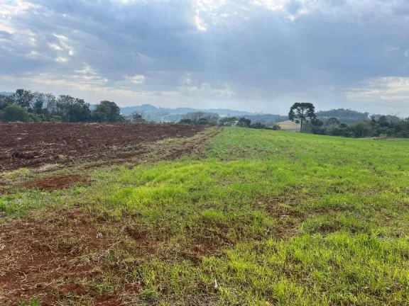 Imagem Terreno para Venda em Concórdia, Rural