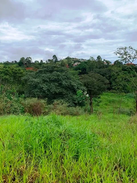 Imagem Chácara à venda 1666.67M², Goiabal, Pindamonhangaba - SP