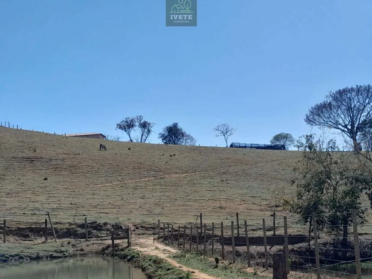 Imagem Terreno incrível para criação de animais e plantio