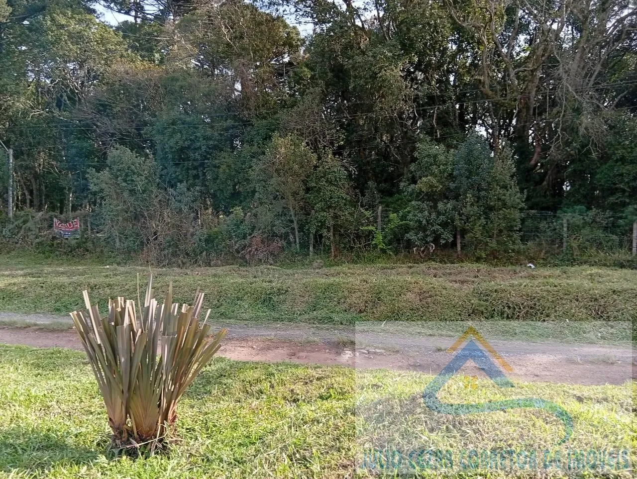 Imagem Terreno para Venda em São José dos Pinhais, Campo Largo da Roseira