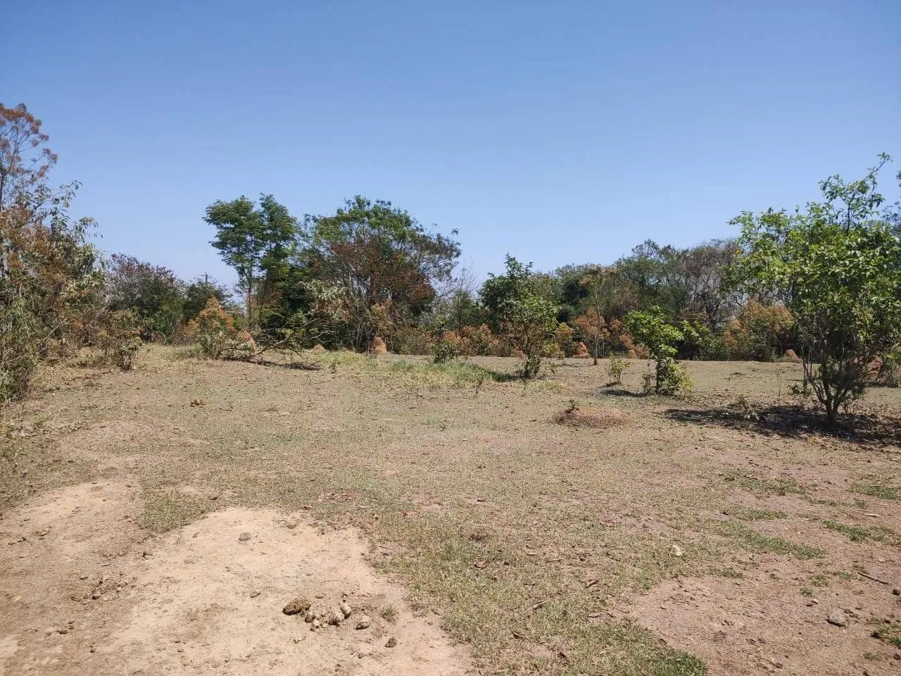 Imagem Chácara à venda, Goiabal, Pindamonhangaba, SP