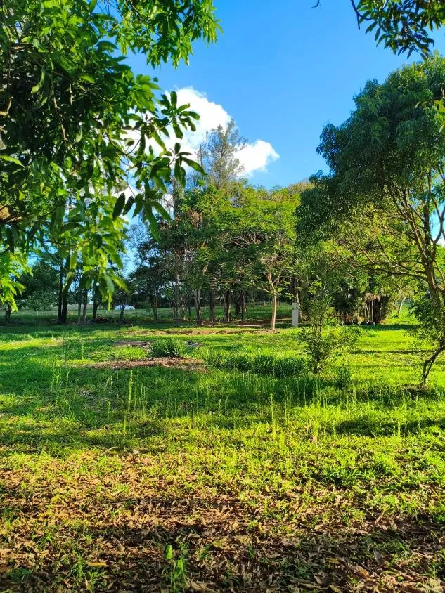 Imagem Vende-se Sítio na MG-050 ( São Sebastião d oeste ) 9,6 hectares de área