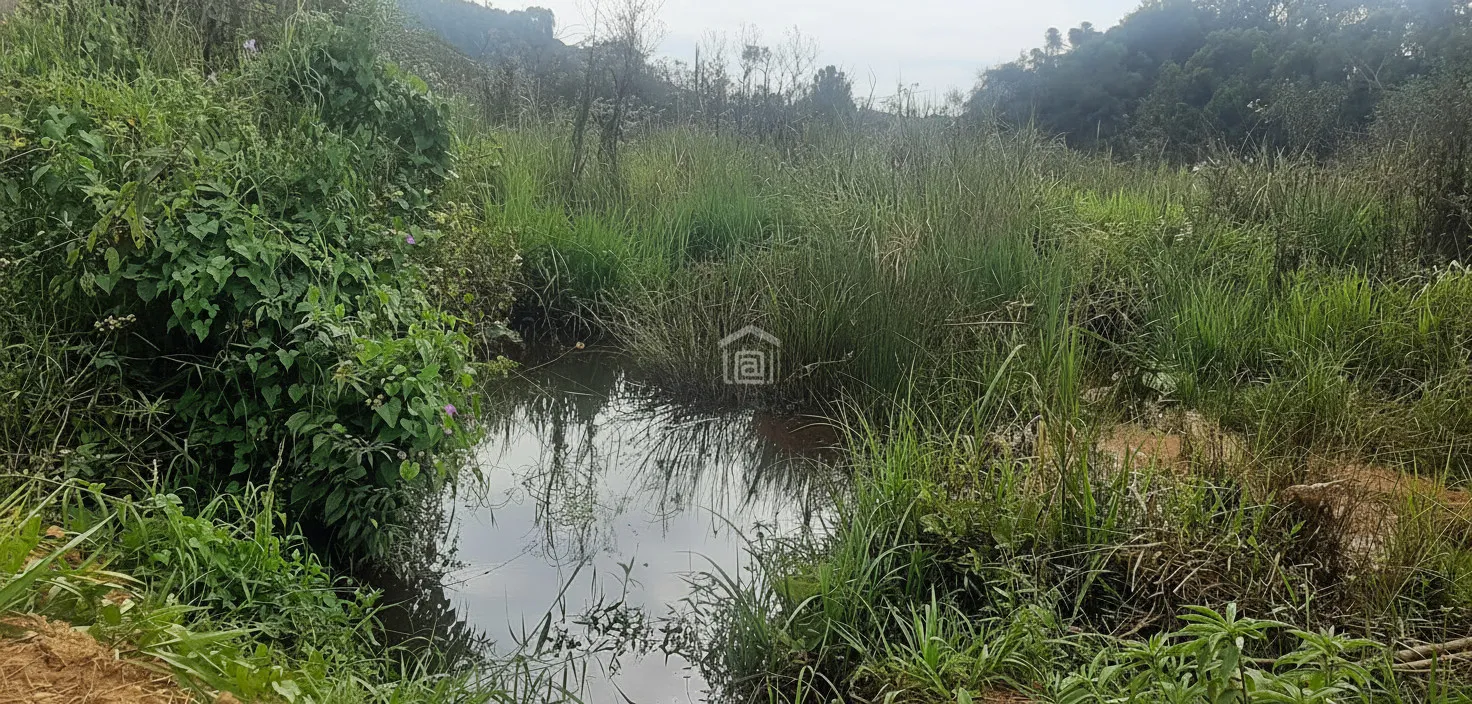 Imagem Fazenda 338,8 ha à venda em Itacolomi, Ipuiúna