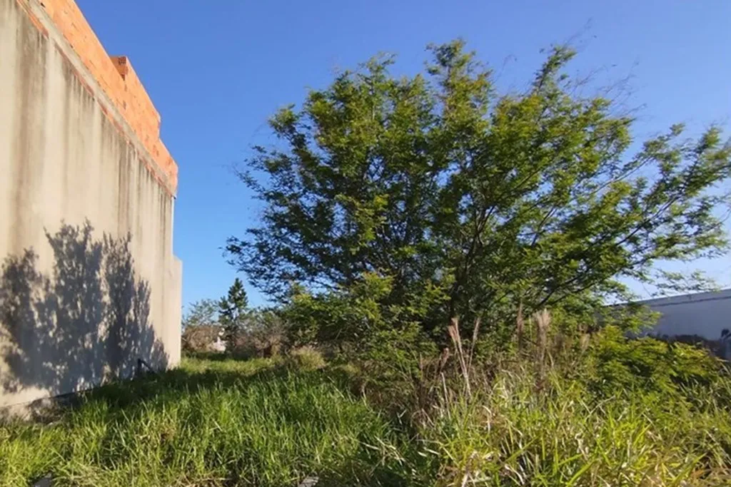 Imagem Terreno em Brigadeira