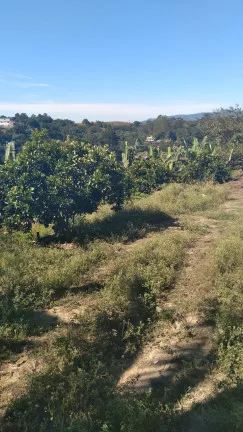 Imagem Terreno à Venda, 14.000 m² em Parque Recanto Mônica - Itaquaquecetuba