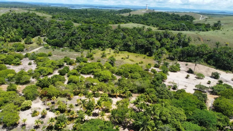 Imagem SÍTIO FRENTE MAR - MM