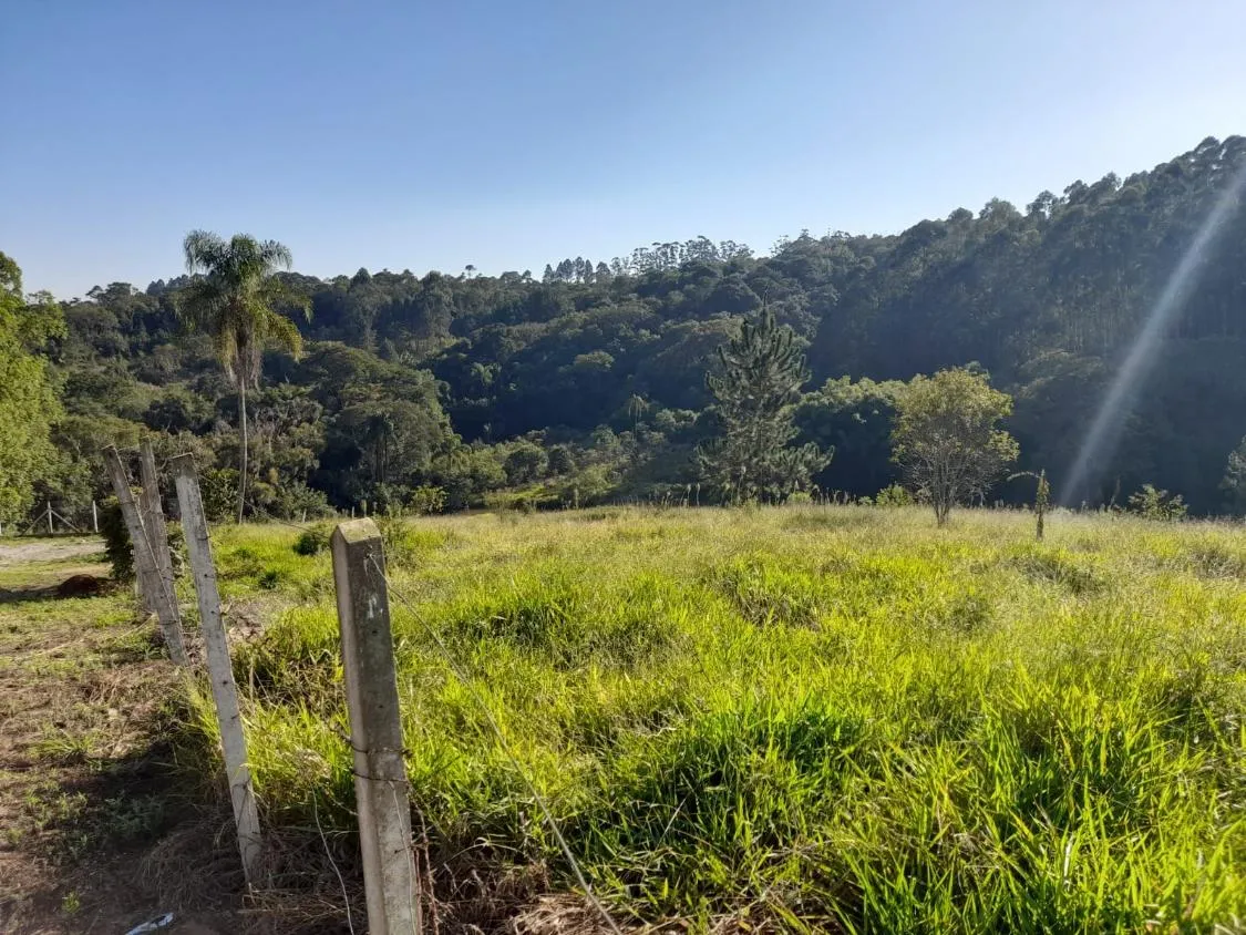 Imagem TERRENO - BAIRRO DA RESSACA - IBIUNA