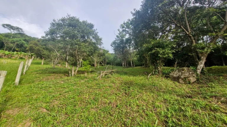 Imagem Terreno com Vista Panorâmica para o Mar à Venda no Bairro Macacu - Garopaba-SC