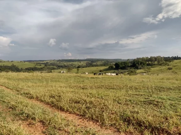 Imagem Sítio a VENDA, Avaí/SP, Área Rural, 10 alqueires