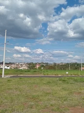 Imagem Terreno Padrão