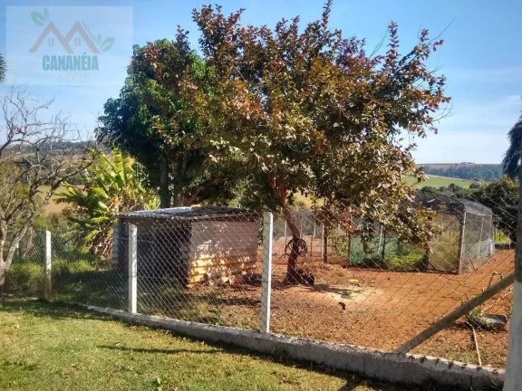 Imagem CHÁCARA CANANÉIA