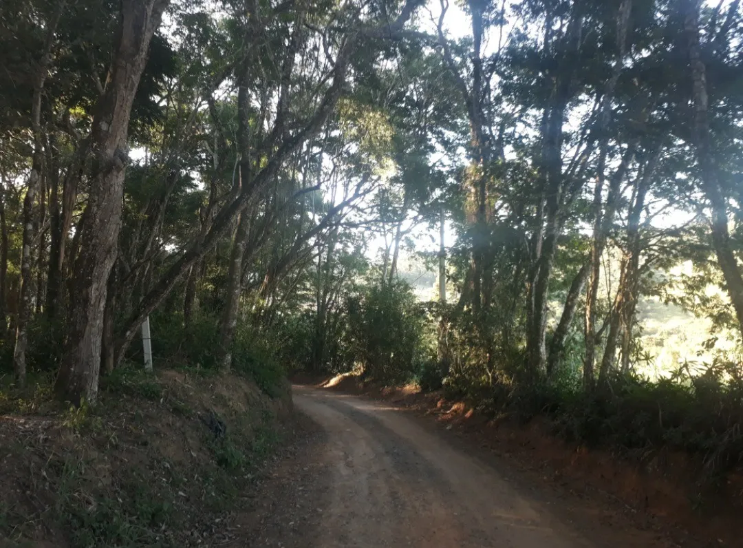 Foto do imóvel Oportuinidade Única!! Terreno em Piedade. em Piedade, IBIÚNA - SP