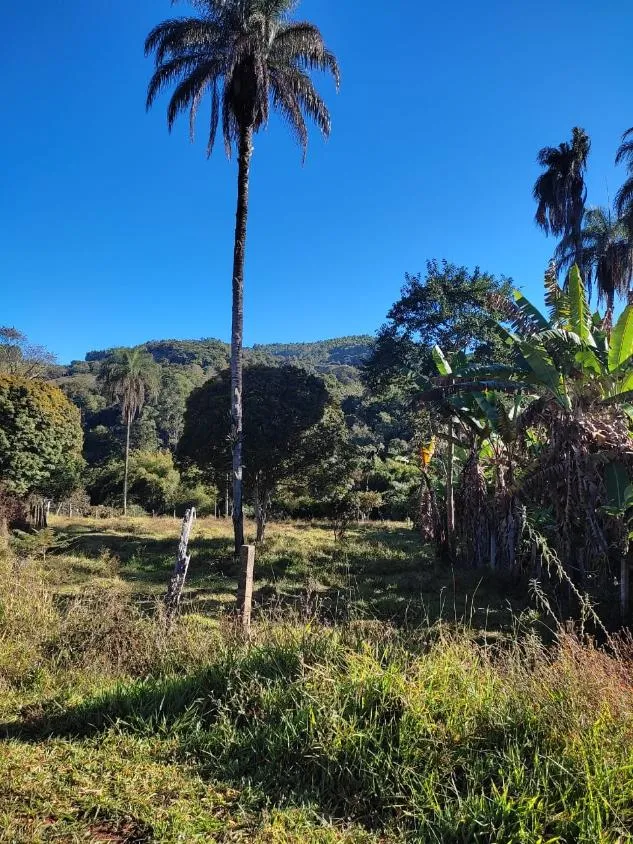 Foto do imóvel FAZENDINHA À VENDA - RIO MANSO (MG) 43 hectares de terra