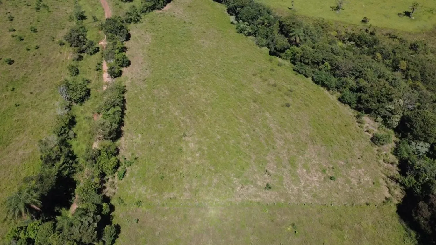 Imagem TERRENO À VENDA EM ITAGUARA / mg 30 HECTARES DE TERRA