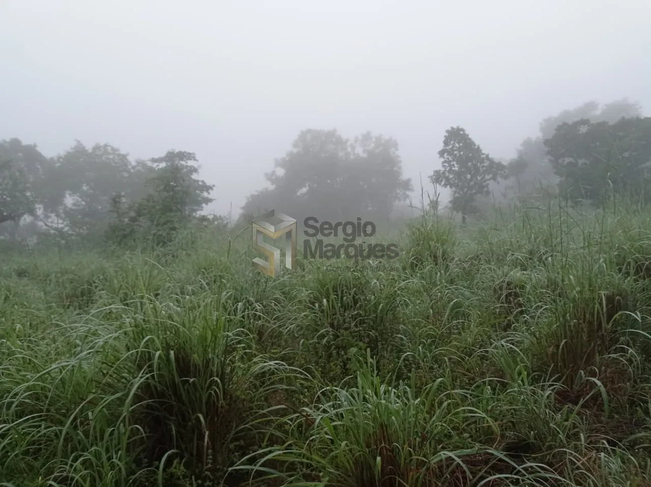 Imagem Fazenda à venda - 700000m² - Floriano-PI