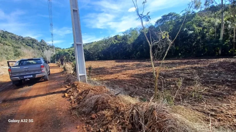 Imagem Área Agrícola para Venda em Concórdia, Interior