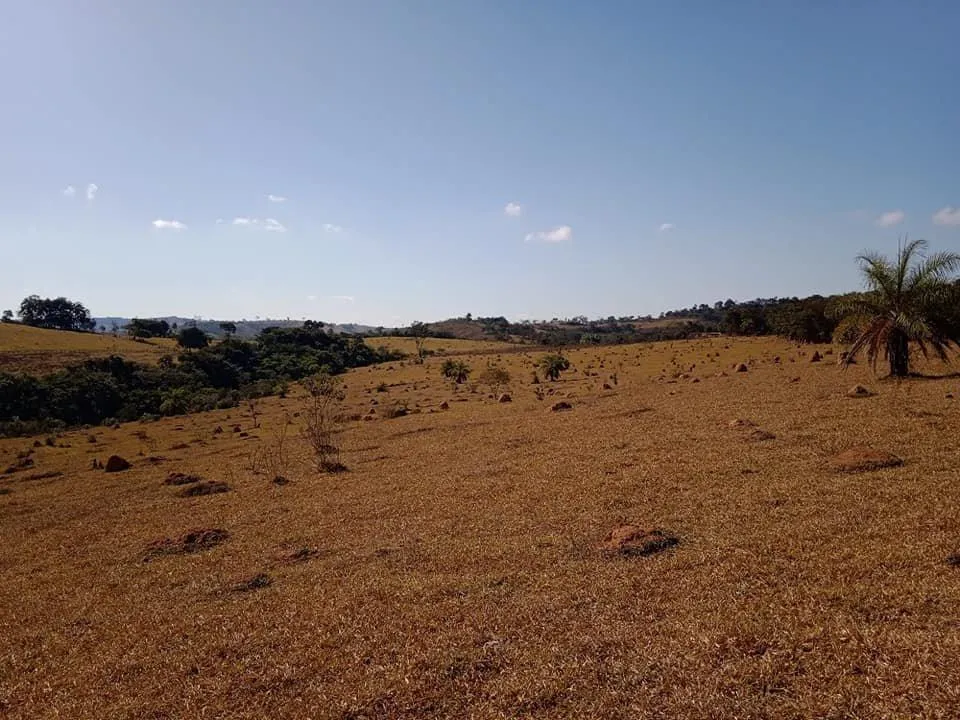 Imagem Vendo Excelente Fazenda em Bonfim/MG 90 hectares de terra